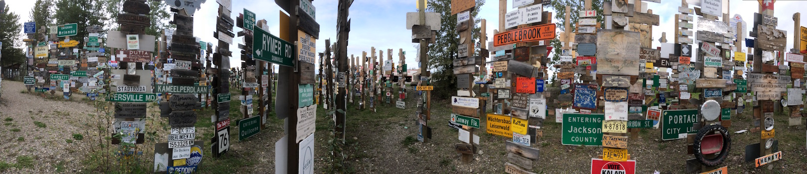 Signpost Forest