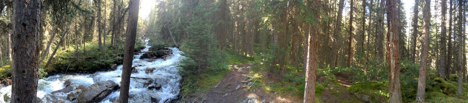 Waterfall deep in boreal forest